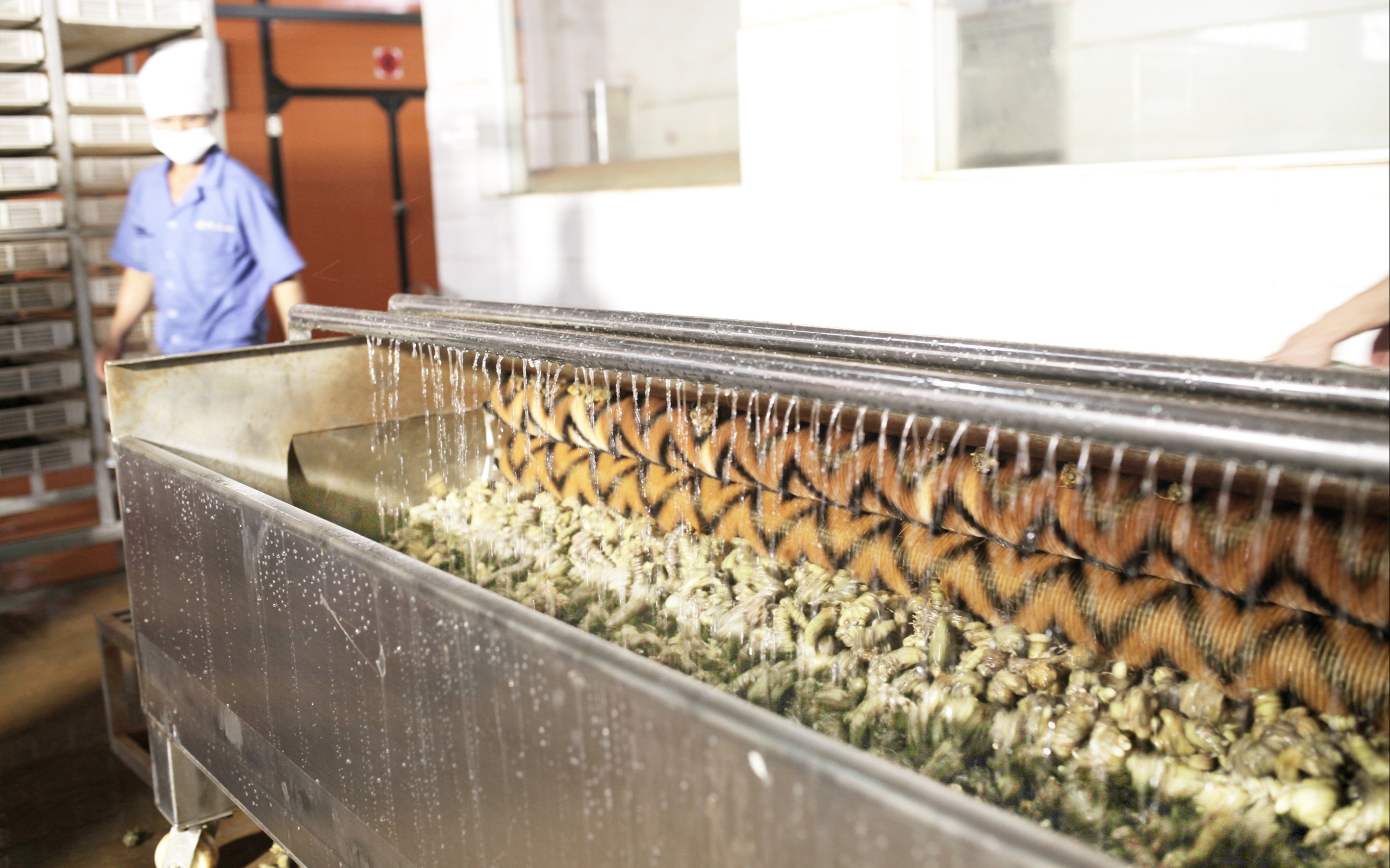 引領(lǐng)三七水洗機(jī)時代