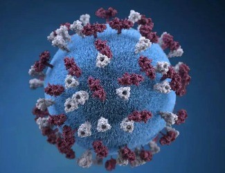 三點告訴您：三七憑什么成為抗“新冠狀病毒肺炎”成員！